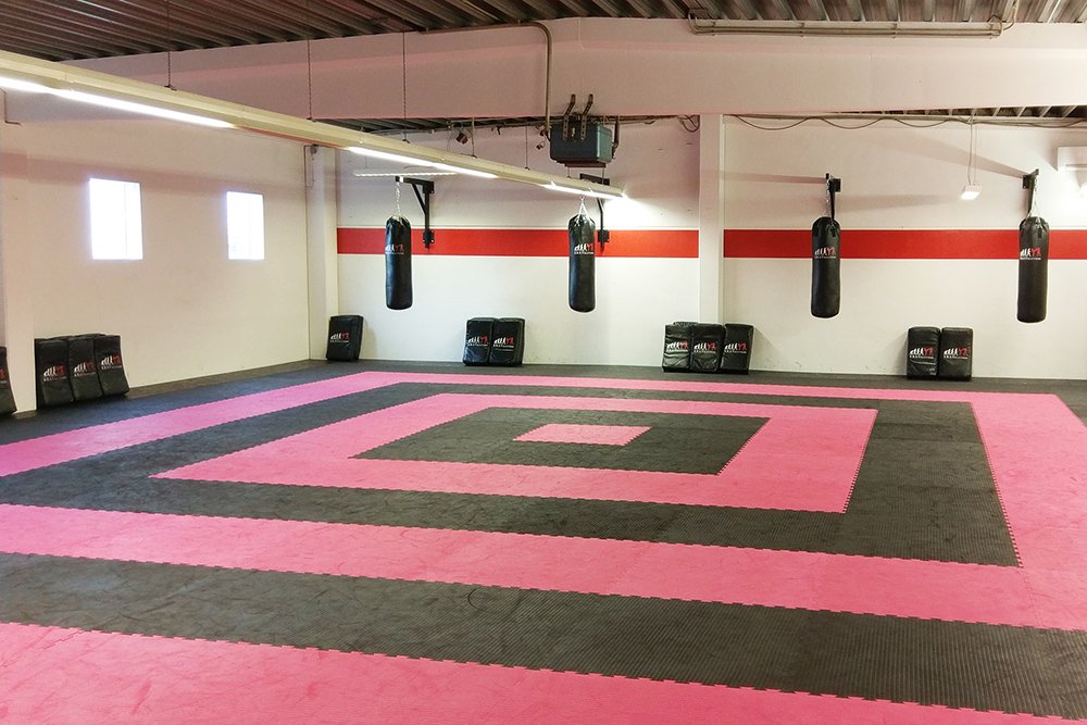 Krav Maga Sankt Augustin Halle Krav Maga Sankt Augustin Halle